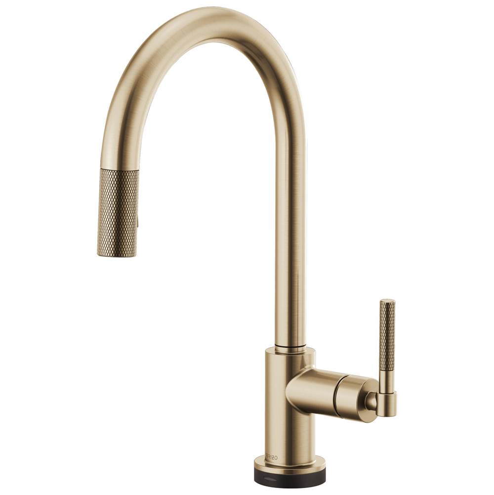 Brizo Retractable Faucets Kitchen Faucets item 64043LF-GL