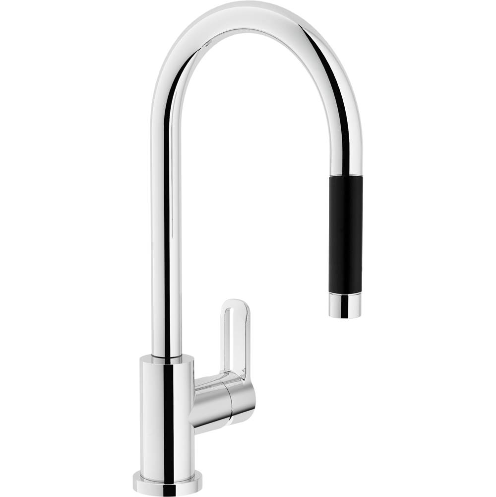 Foster Pull Down Faucet Kitchen Faucets item 8467015
