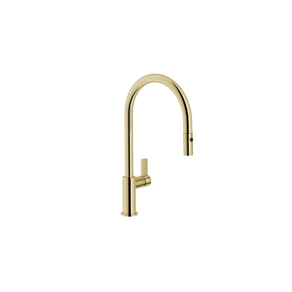 Foster Pull Down Faucet Kitchen Faucets item 8467905