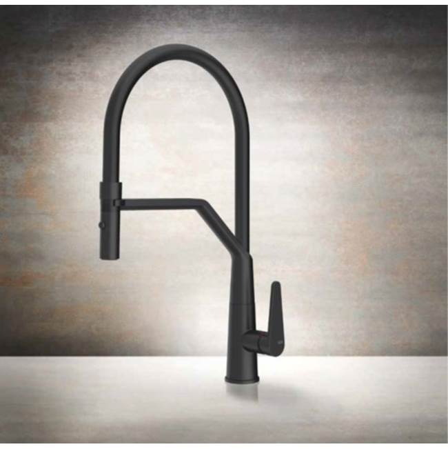 Gessi Single Hole Kitchen Faucets item PF17194#299