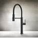 Gessi - PF60220#299 - Single Hole Kitchen Faucets