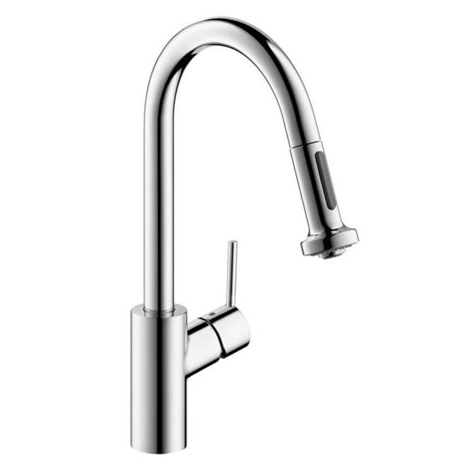 Hansgrohe  Kitchen Faucets item 04310001
