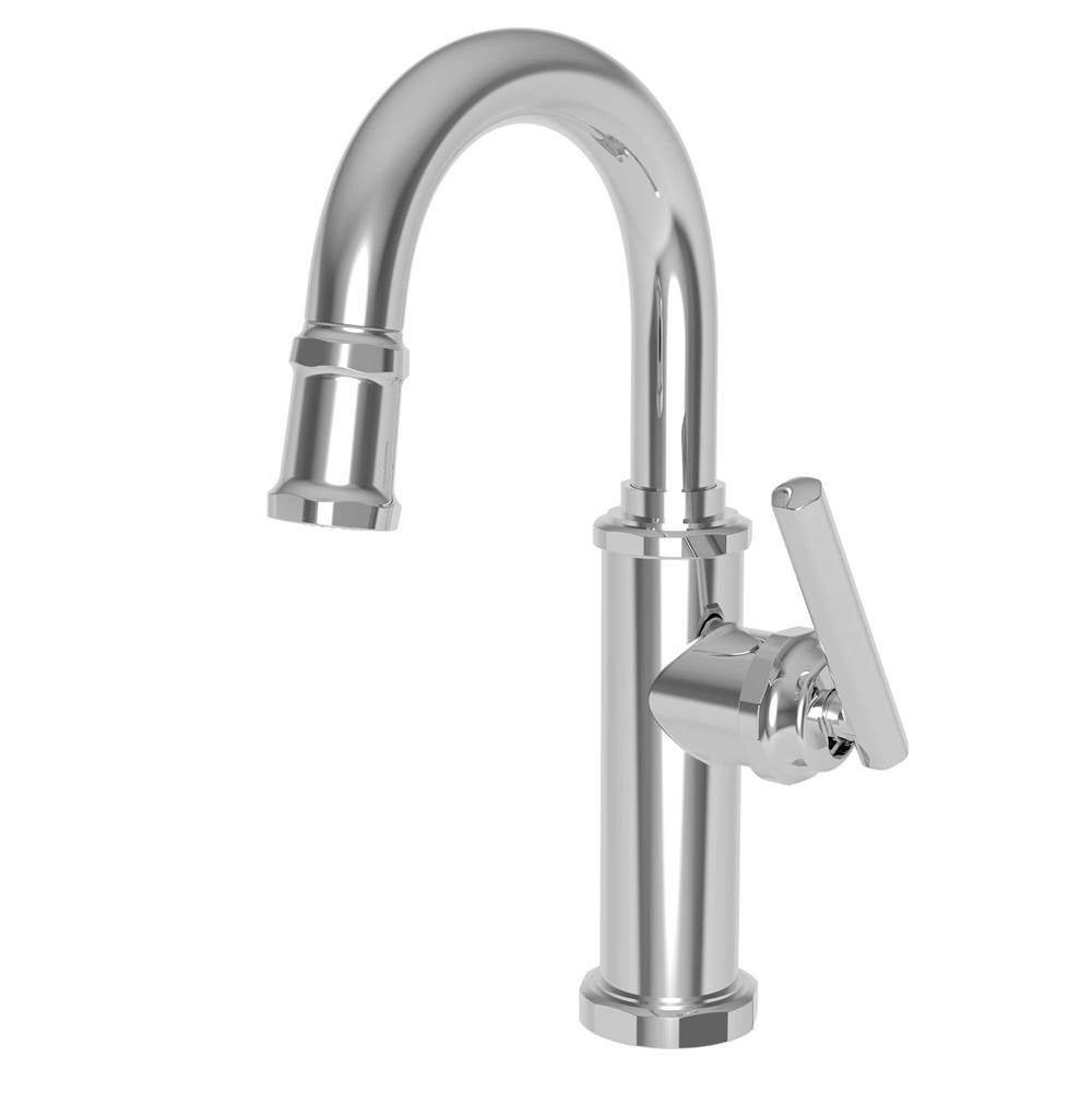 Newport Brass Pull Down Bar Faucets Bar Sink Faucets item 3190-5223/08A