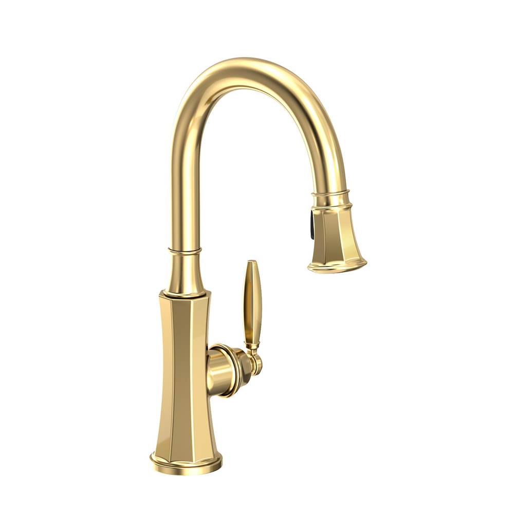 Newport Brass Retractable Faucets Kitchen Faucets item 1200-5103/01