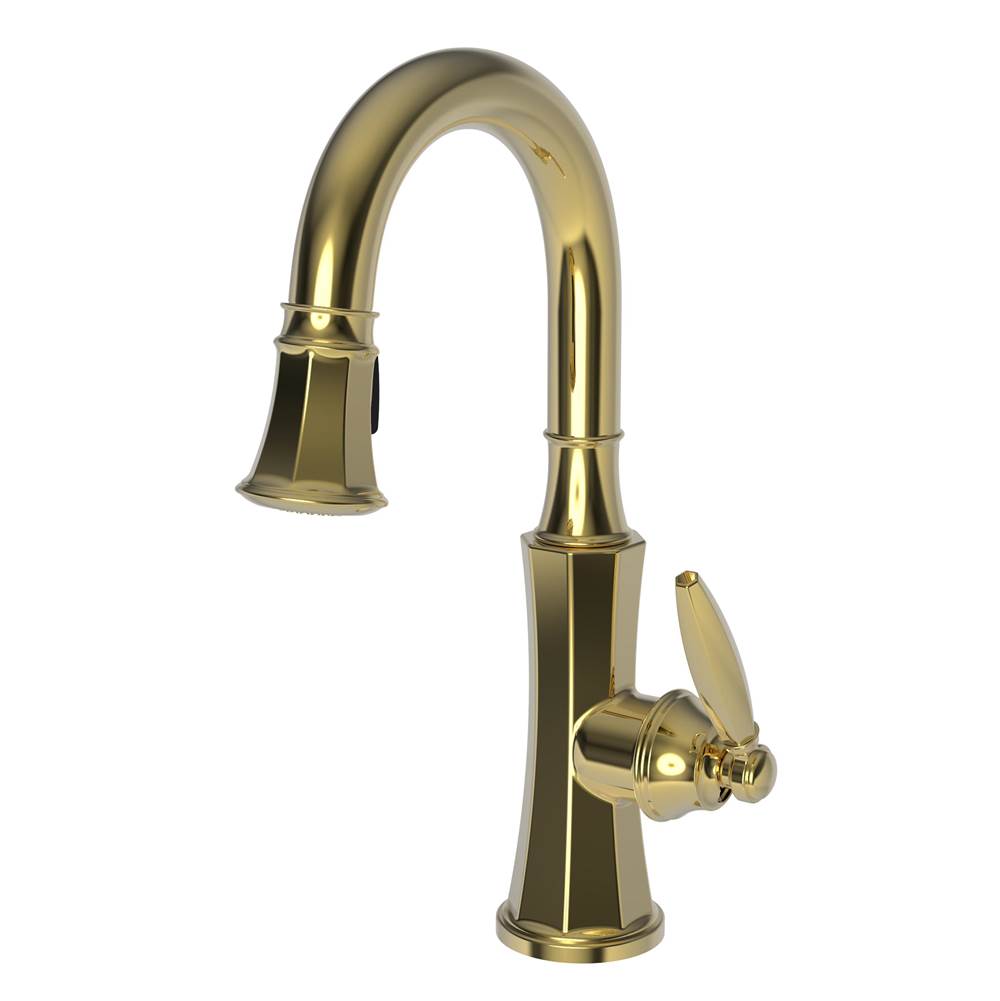 Newport Brass Pull Down Bar Faucets Bar Sink Faucets item 1200-5223/01