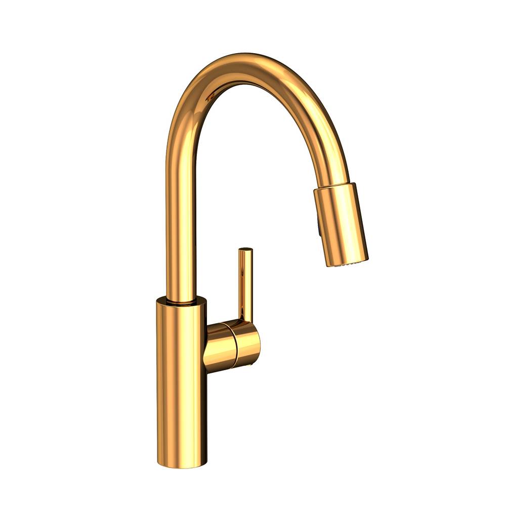 Newport Brass Single Hole Kitchen Faucets item 1500-5103/24