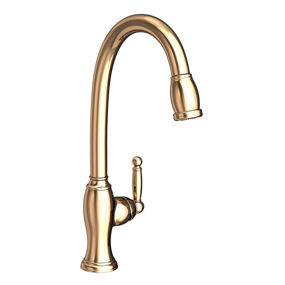 Newport Brass Single Hole Kitchen Faucets item 2510-5103/24A