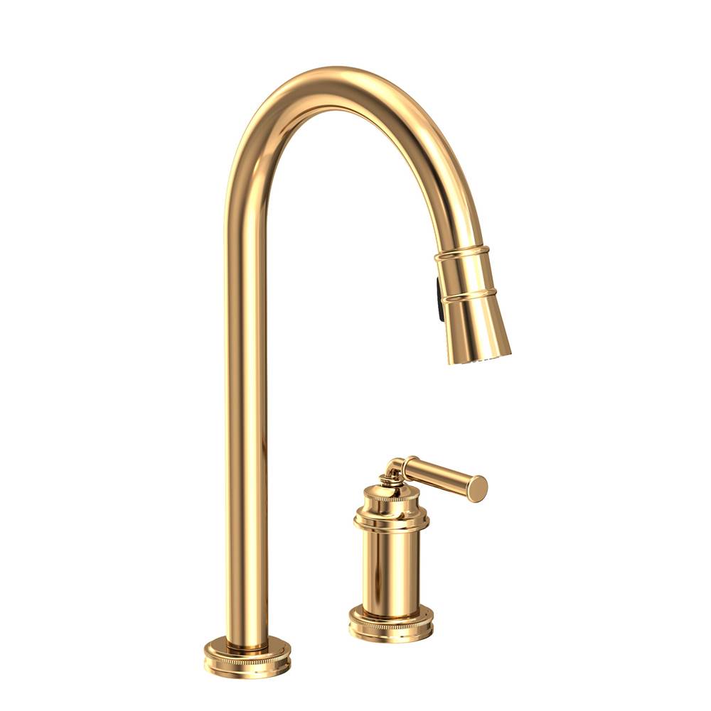 Newport Brass Retractable Faucets Kitchen Faucets item 2940-5123/03N