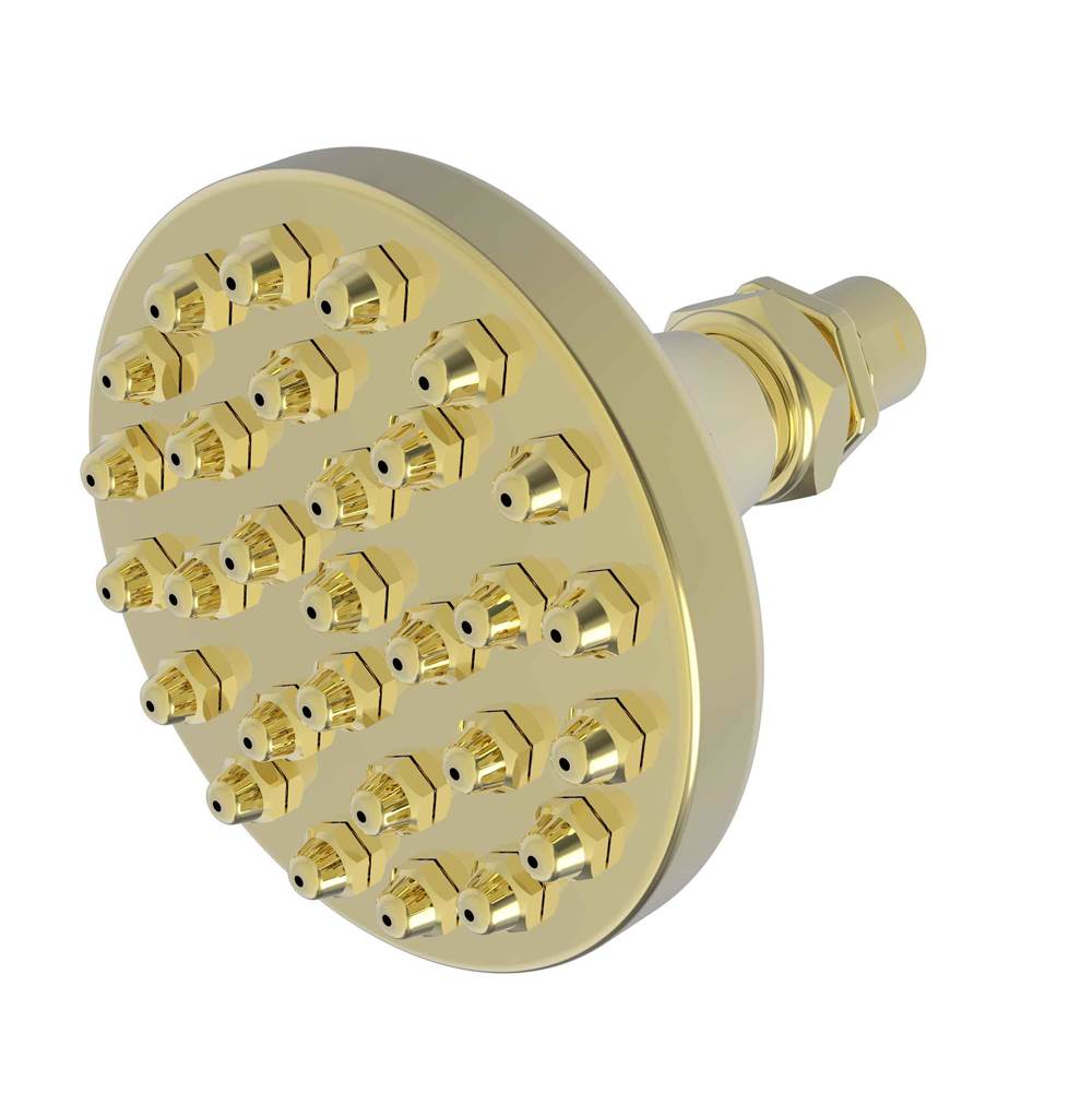 Newport Brass Single Function Shower Heads Shower Heads item 214/01