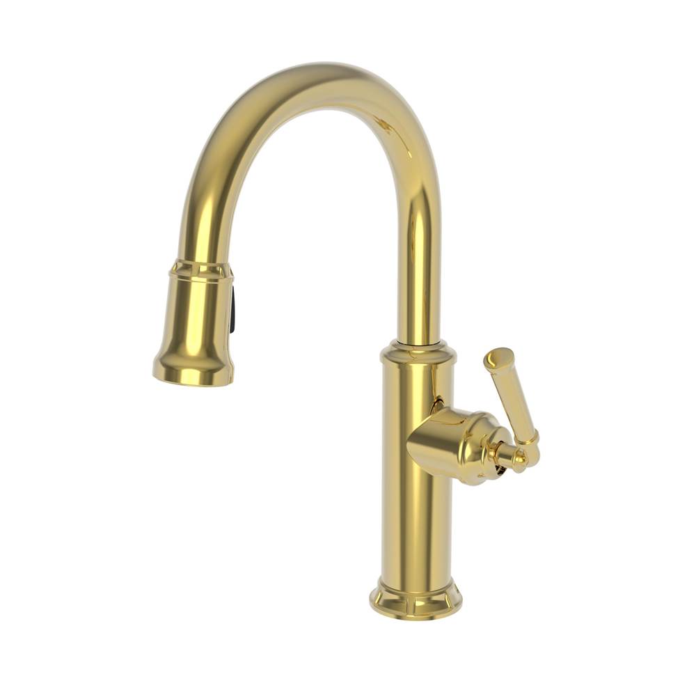 Newport Brass Pull Down Bar Faucets Bar Sink Faucets item 3210-5203/24