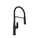 Riobel - MY101BK - Pull Down Kitchen Faucets